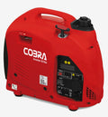 IG10SI 4-Stroke Petrol Generator 1.0kW