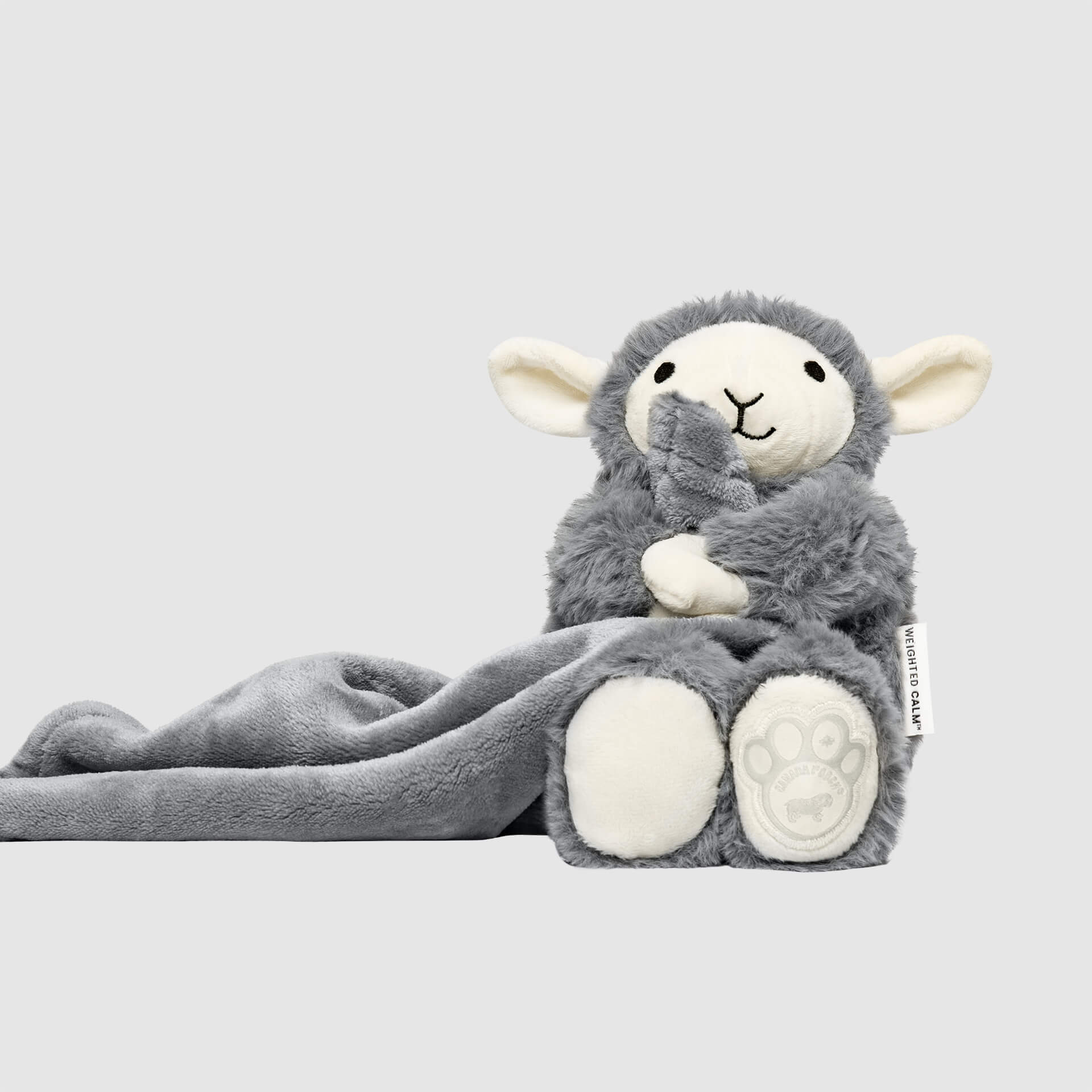Weighted Calming Toy Y8