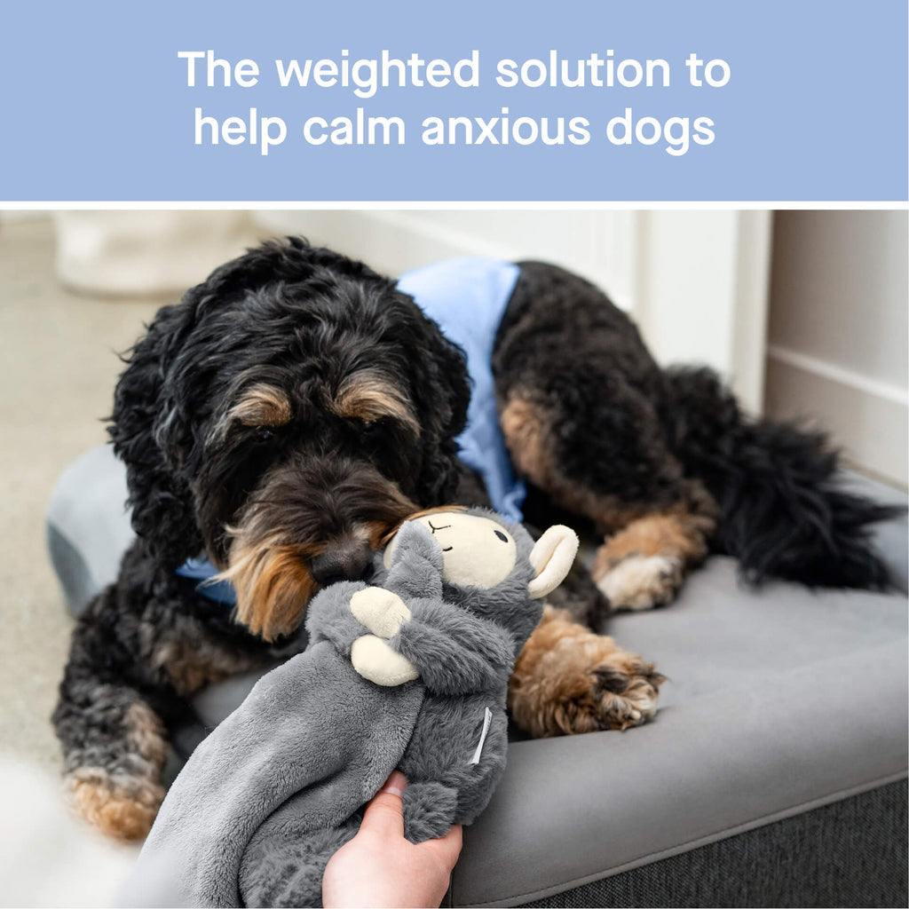 Weighted Calming Toy U5