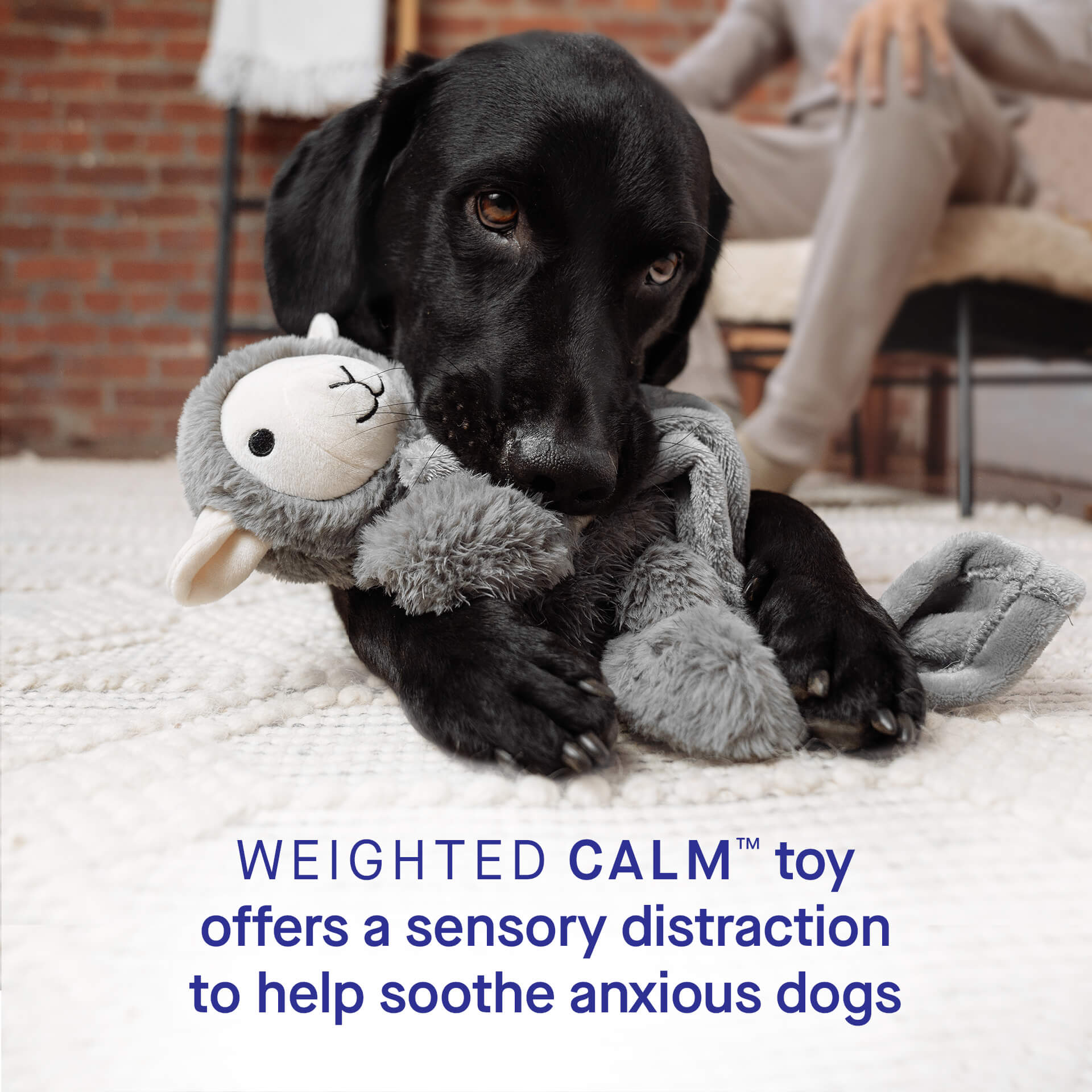 Weighted Calming Toy U5
