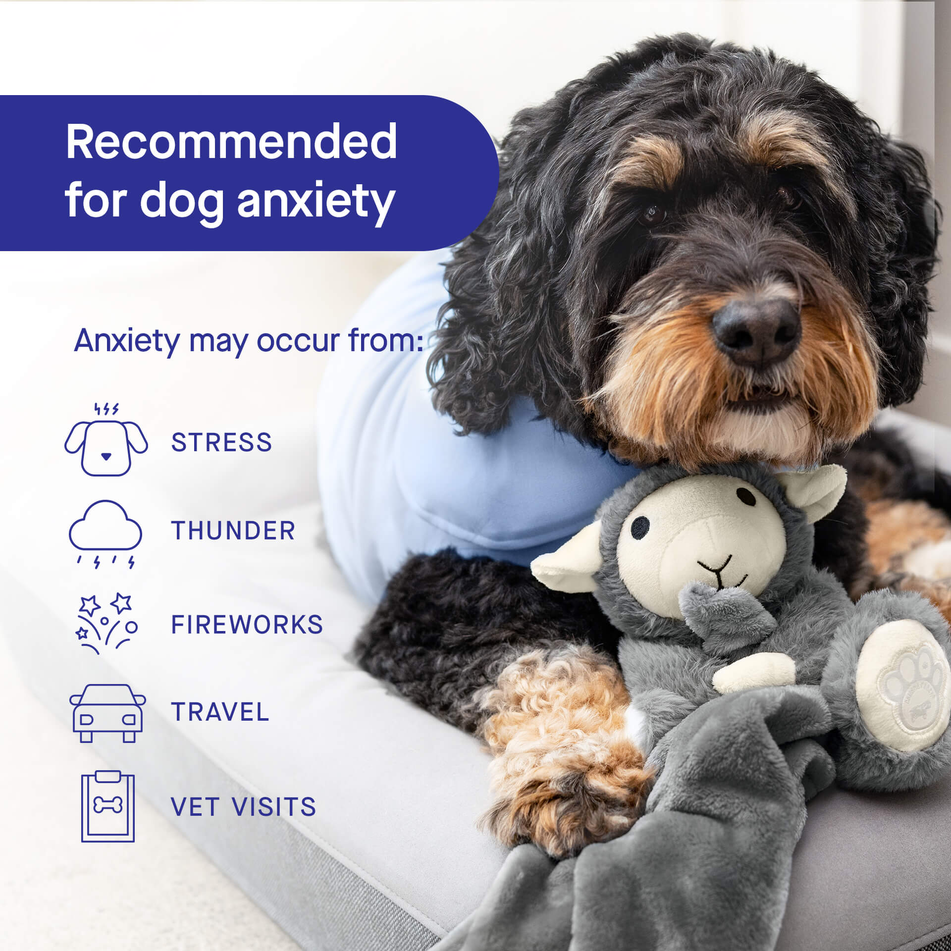 Weighted Calming Toy U5