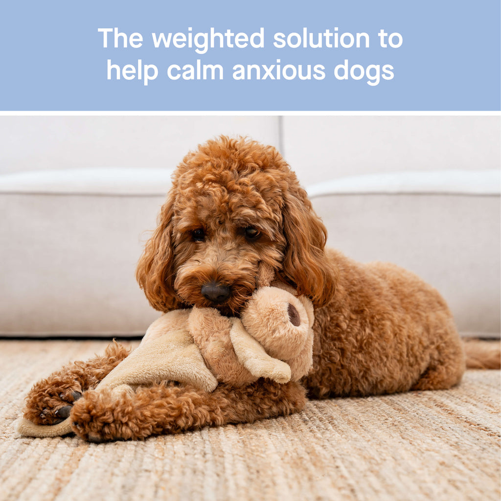 Weighted Calming Toy Y8