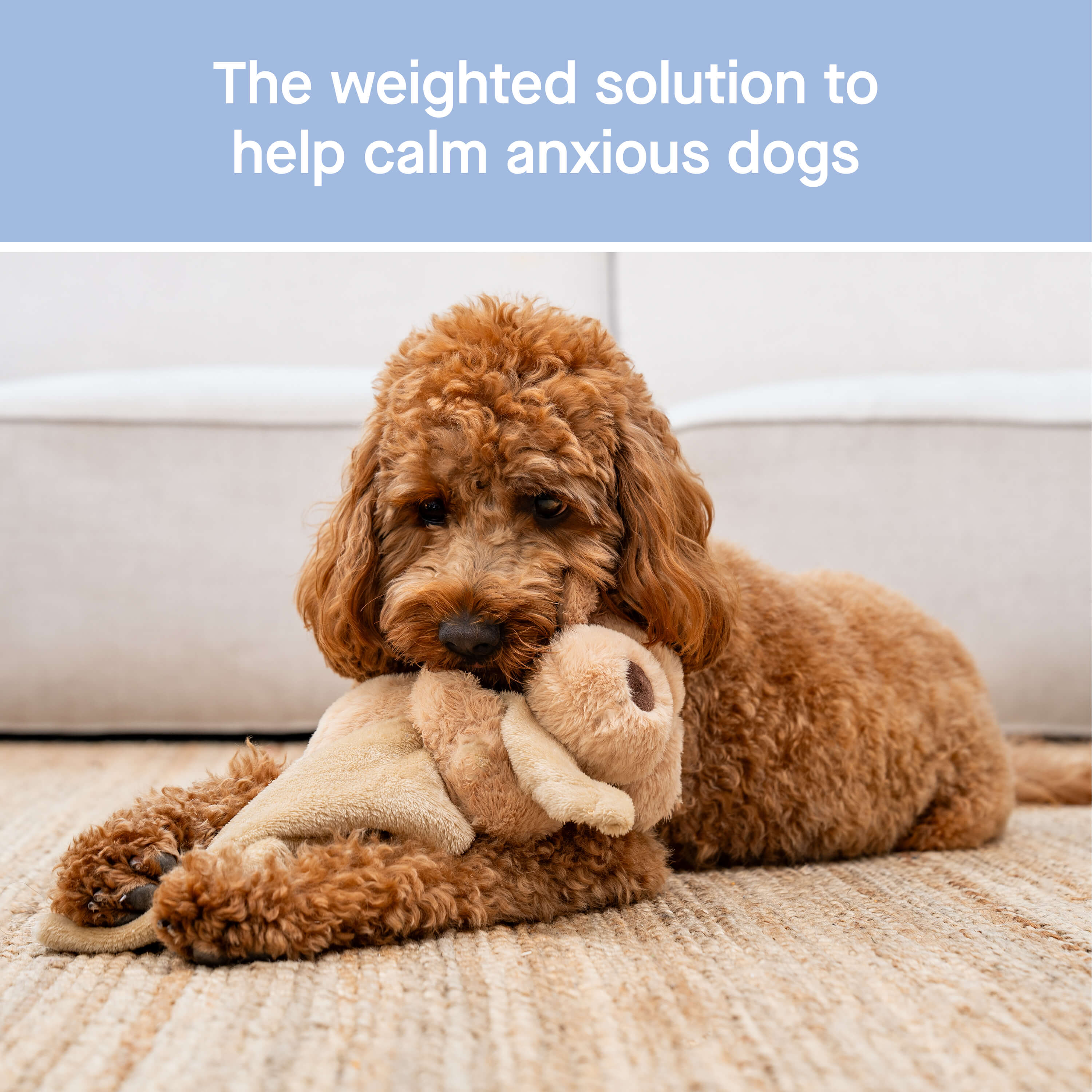 Weighted Calming Toy Y8