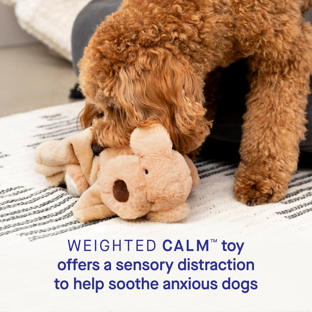 Weighted Calming Toy U5