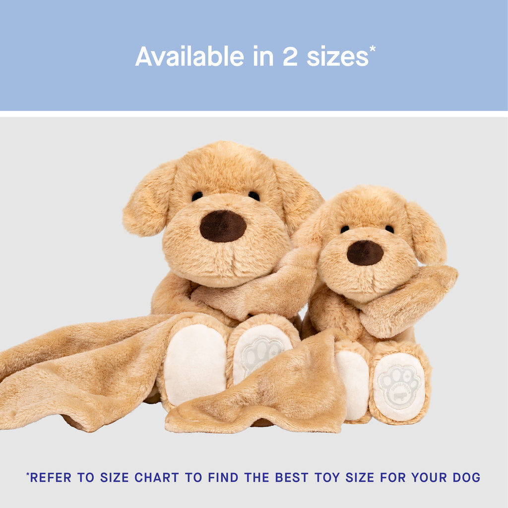 Weighted Calming Toy U5