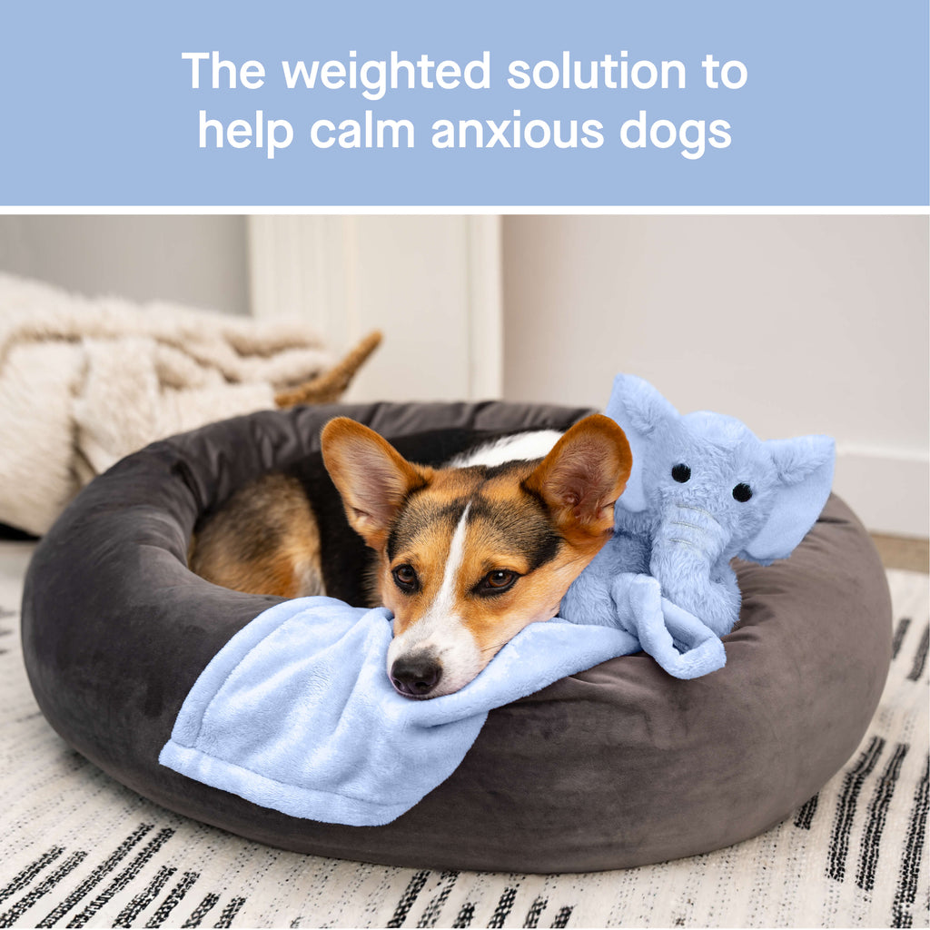 Weighted Calming Toy Y8