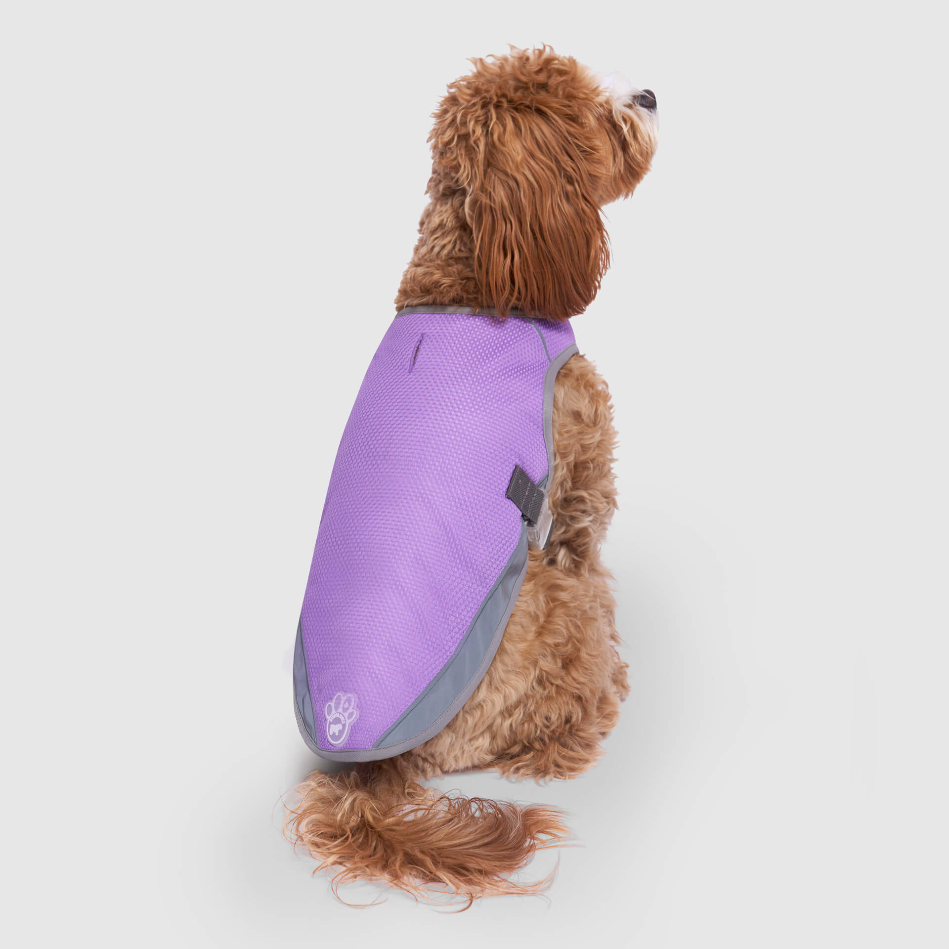 Chill Seeker Cooling Vest Wet Reveal B8