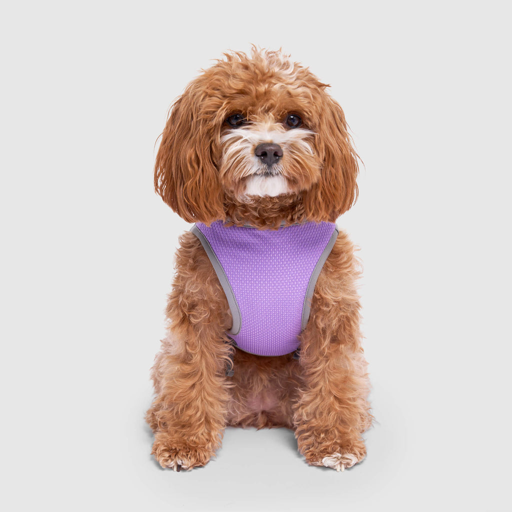 Chill Seeker Cooling Vest Wet Reveal B8