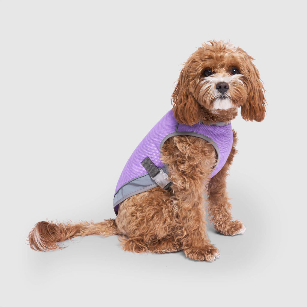 Chill Seeker Cooling Vest Wet Reveal B8