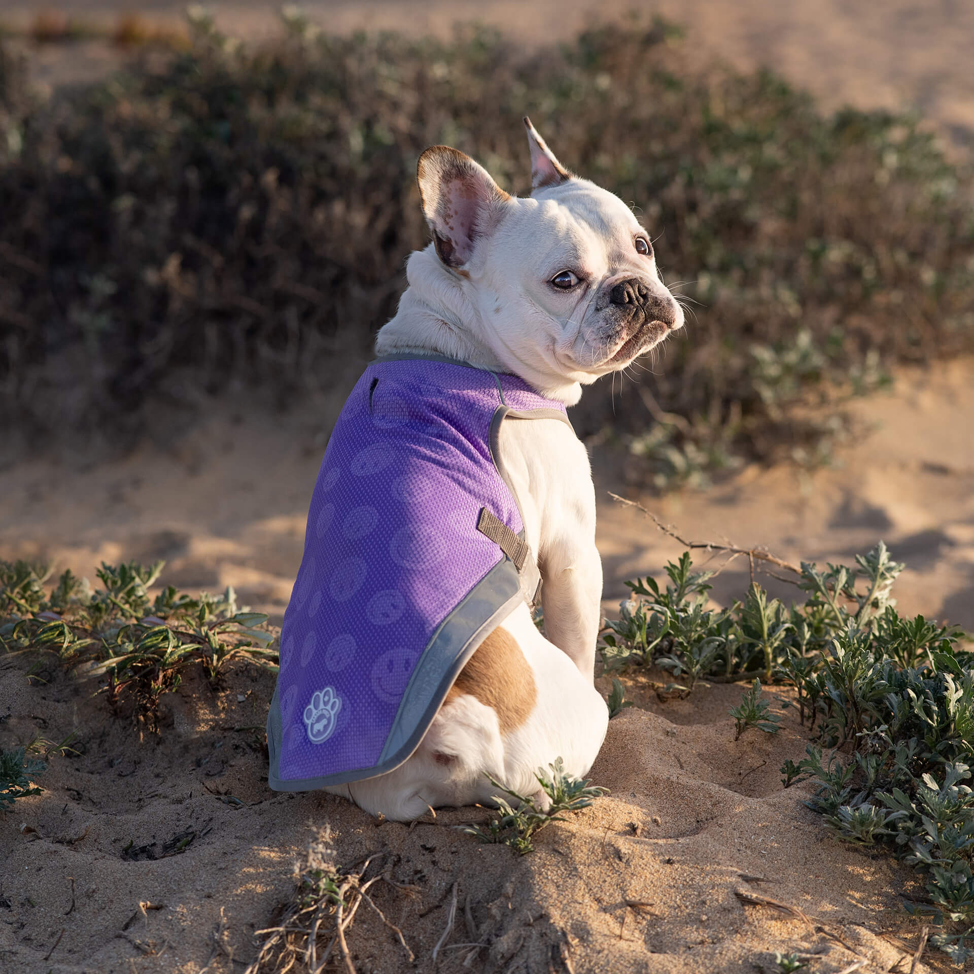 Chill Seeker Cooling Vest Wet Reveal B8