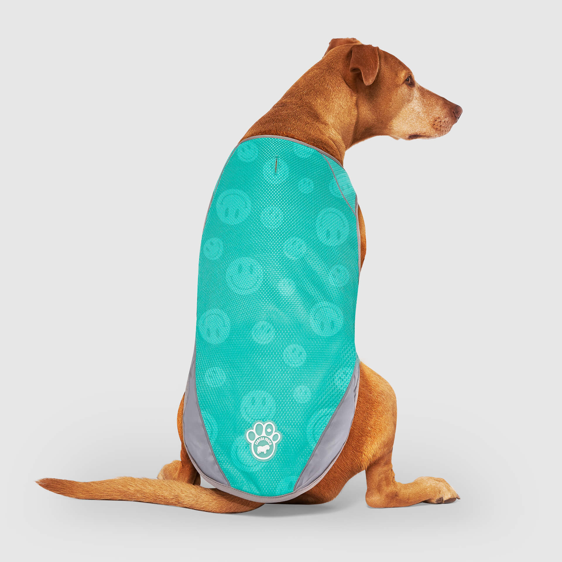 Chill Seeker Cooling Vest Wet Reveal B8
