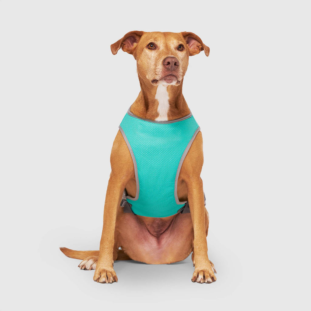Chill Seeker Cooling Vest Wet Reveal B8