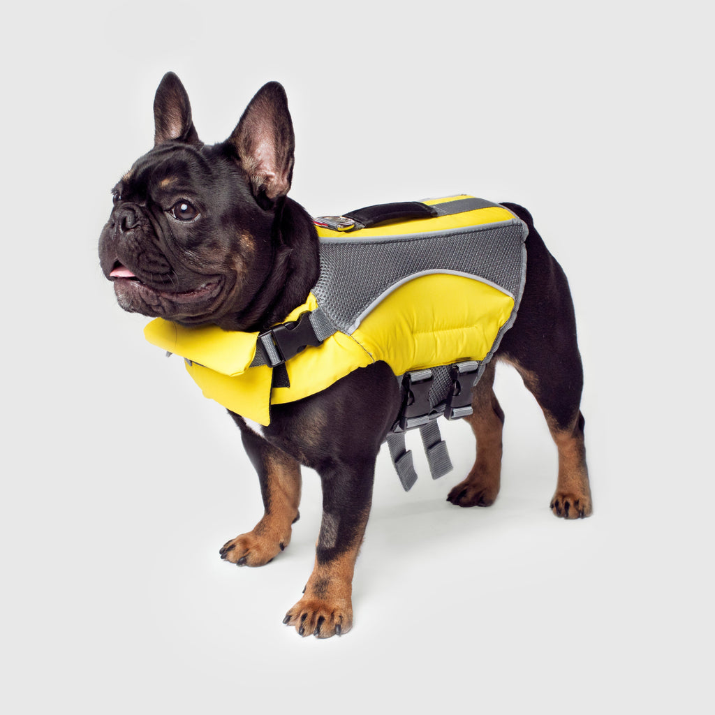Wave Rider Life Jacket J8