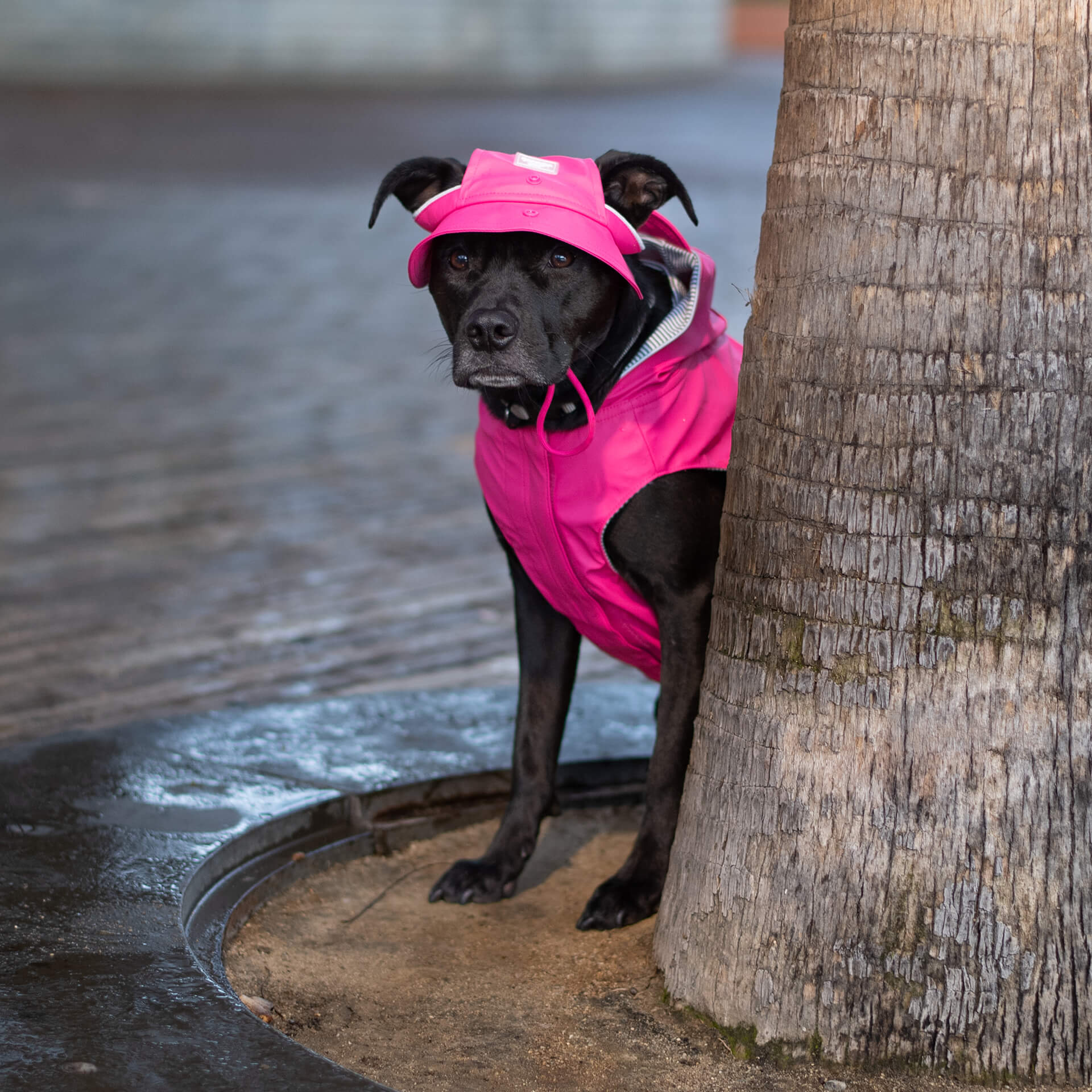 Torrential Tracker Rain Hat G2