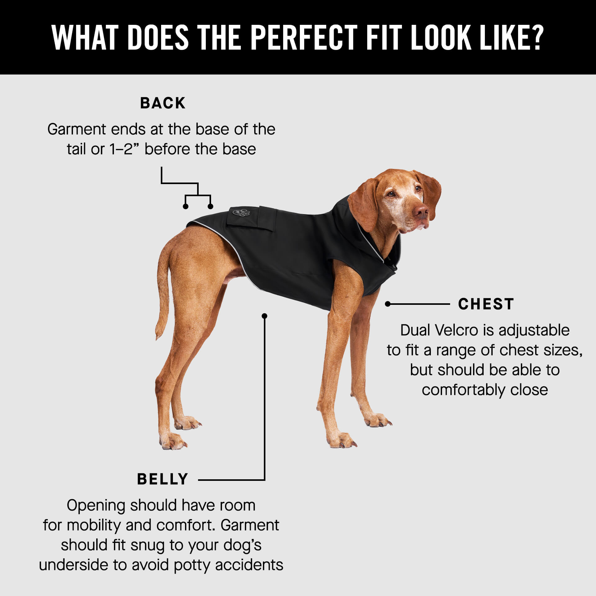 Torrential Tracker G4