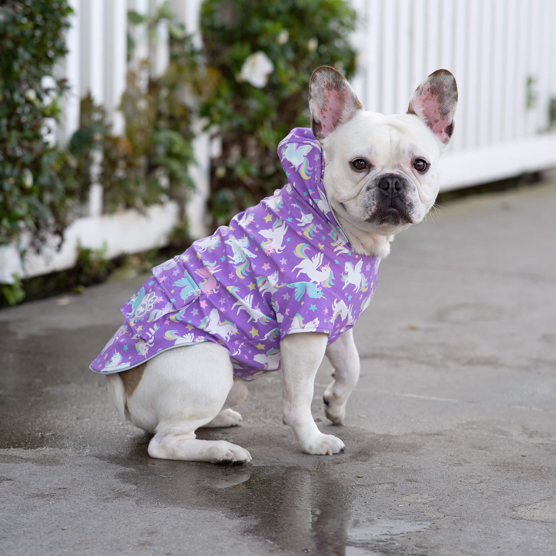 Wet Reveal Torrential Tracker T6