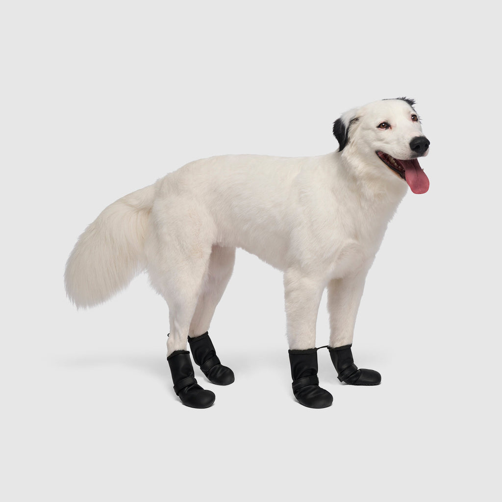 Waterproof Rain Boots N8