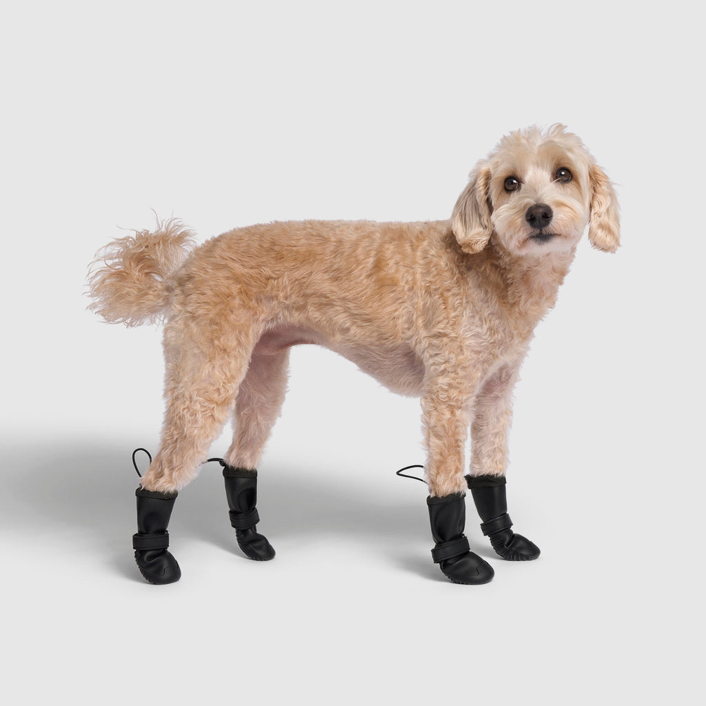 Waterproof Rain Boots N8