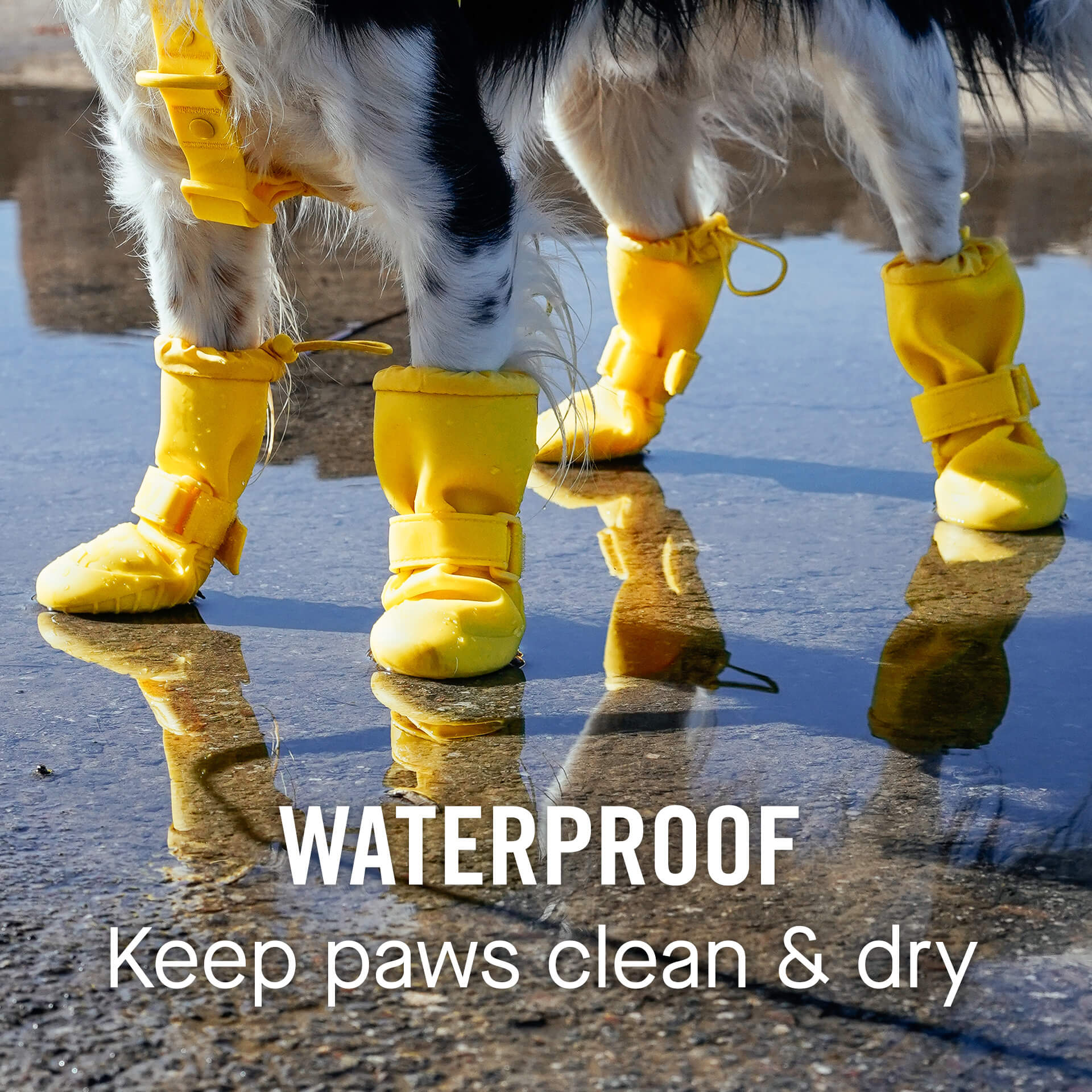 Waterproof Rain Boots N8