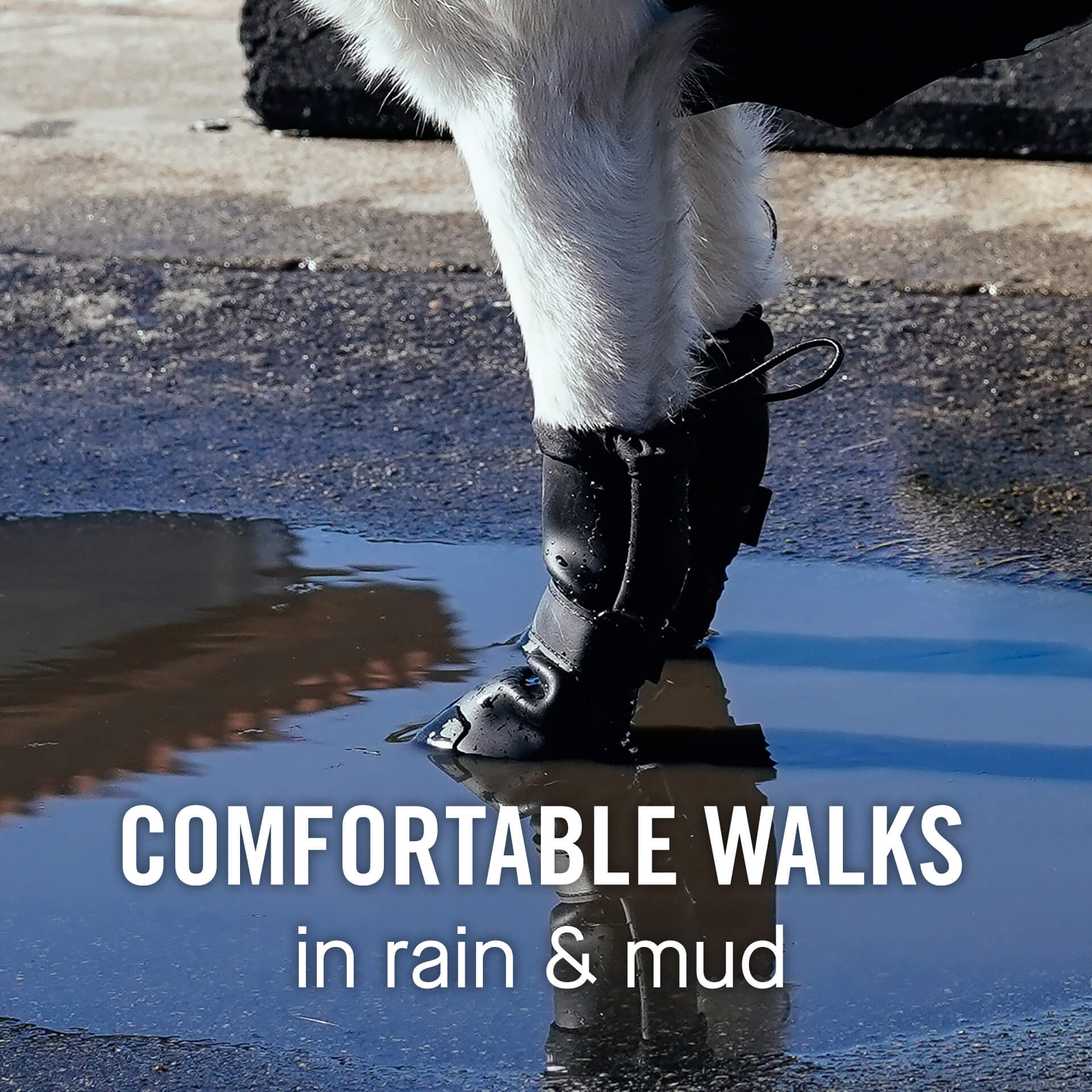 Waterproof Rain Boots N8