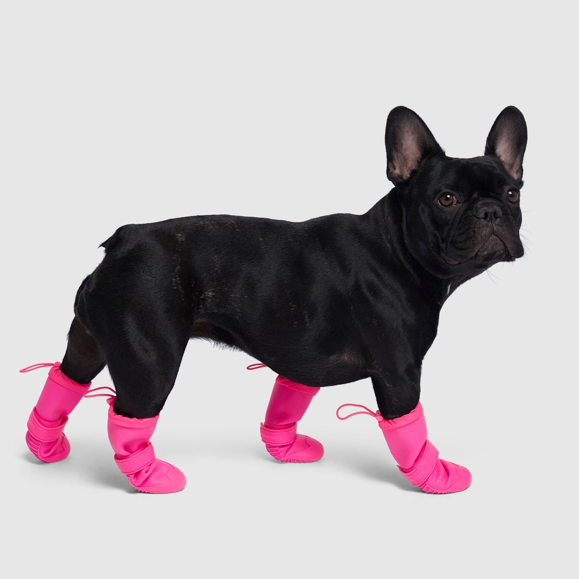Waterproof Rain Boots N8