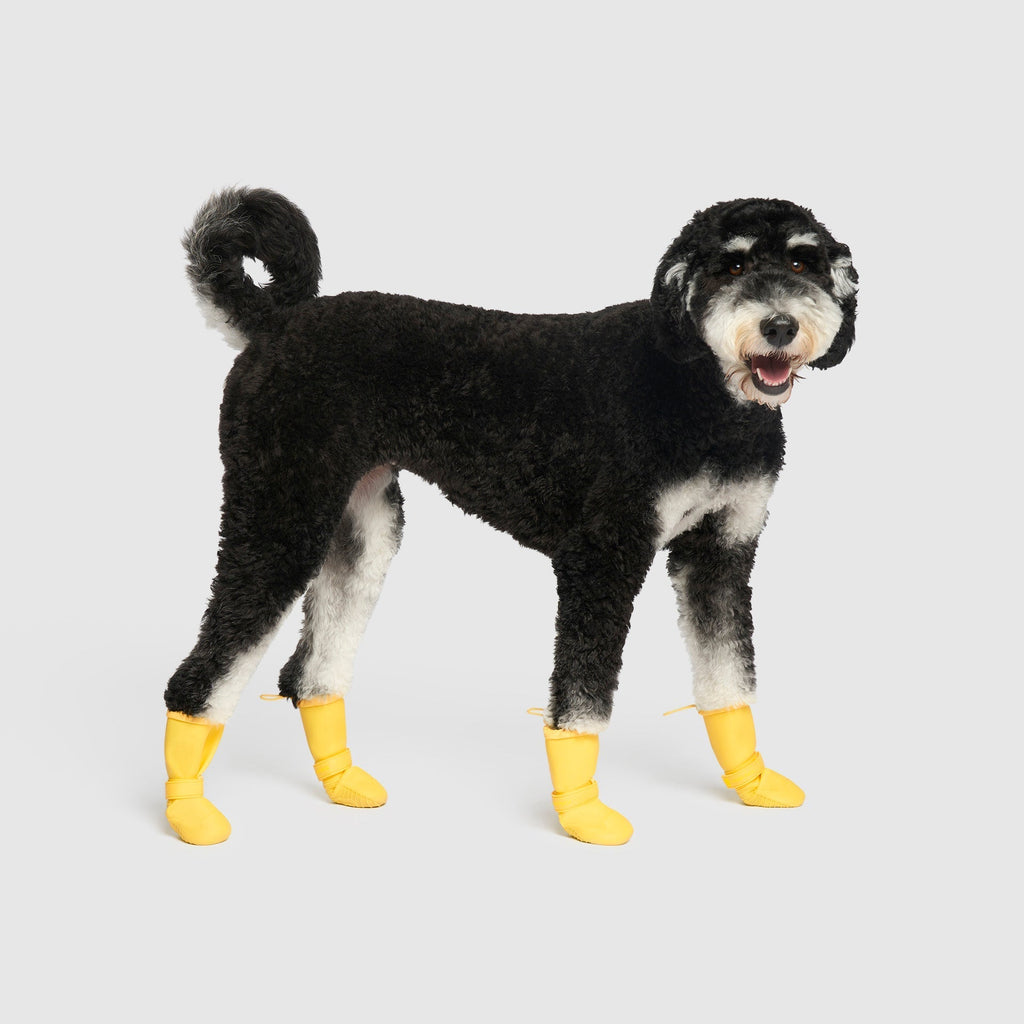 Waterproof Rain Boots N8