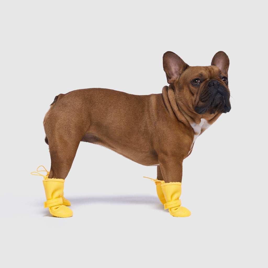 Waterproof Rain Boots N8