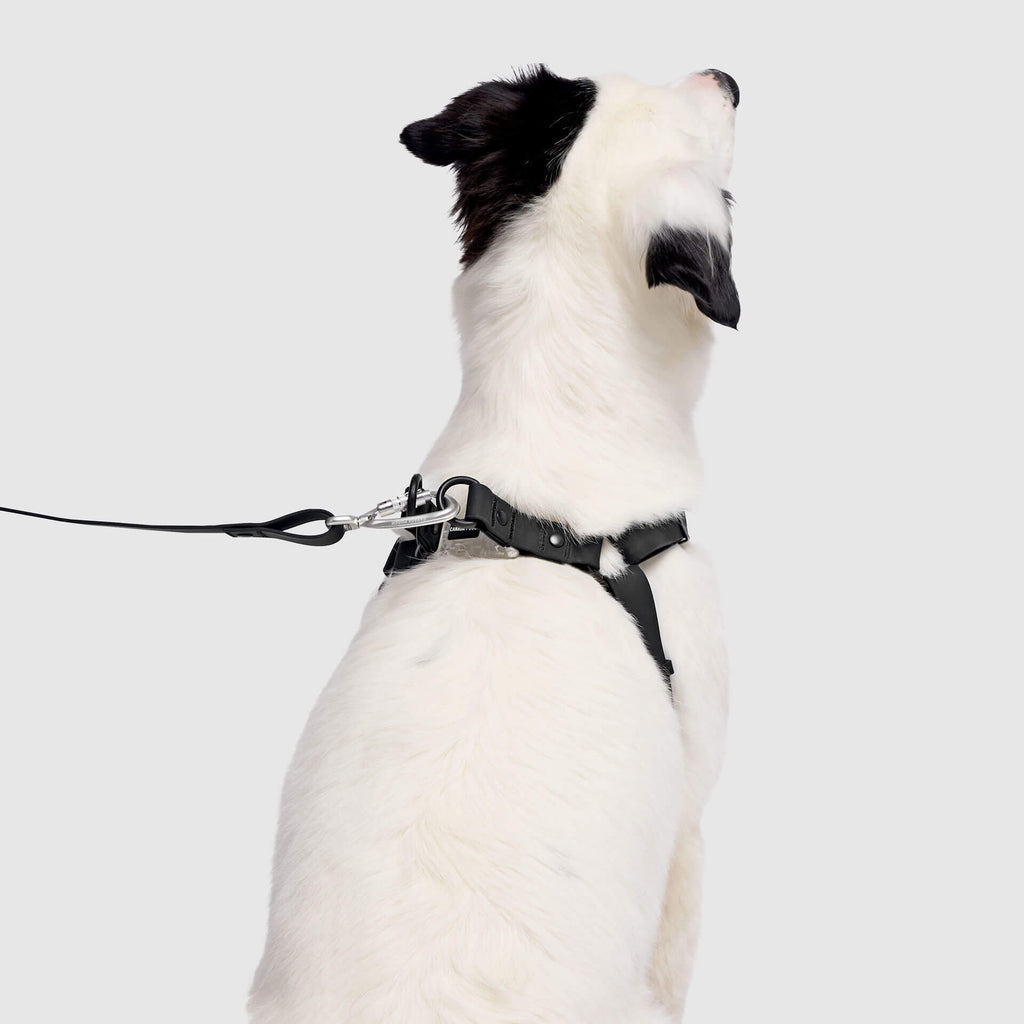 Waterproof Harness Q1
