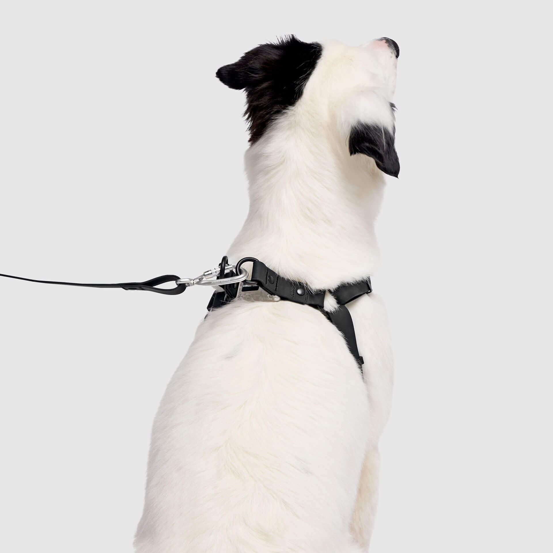 Waterproof Harness Q1