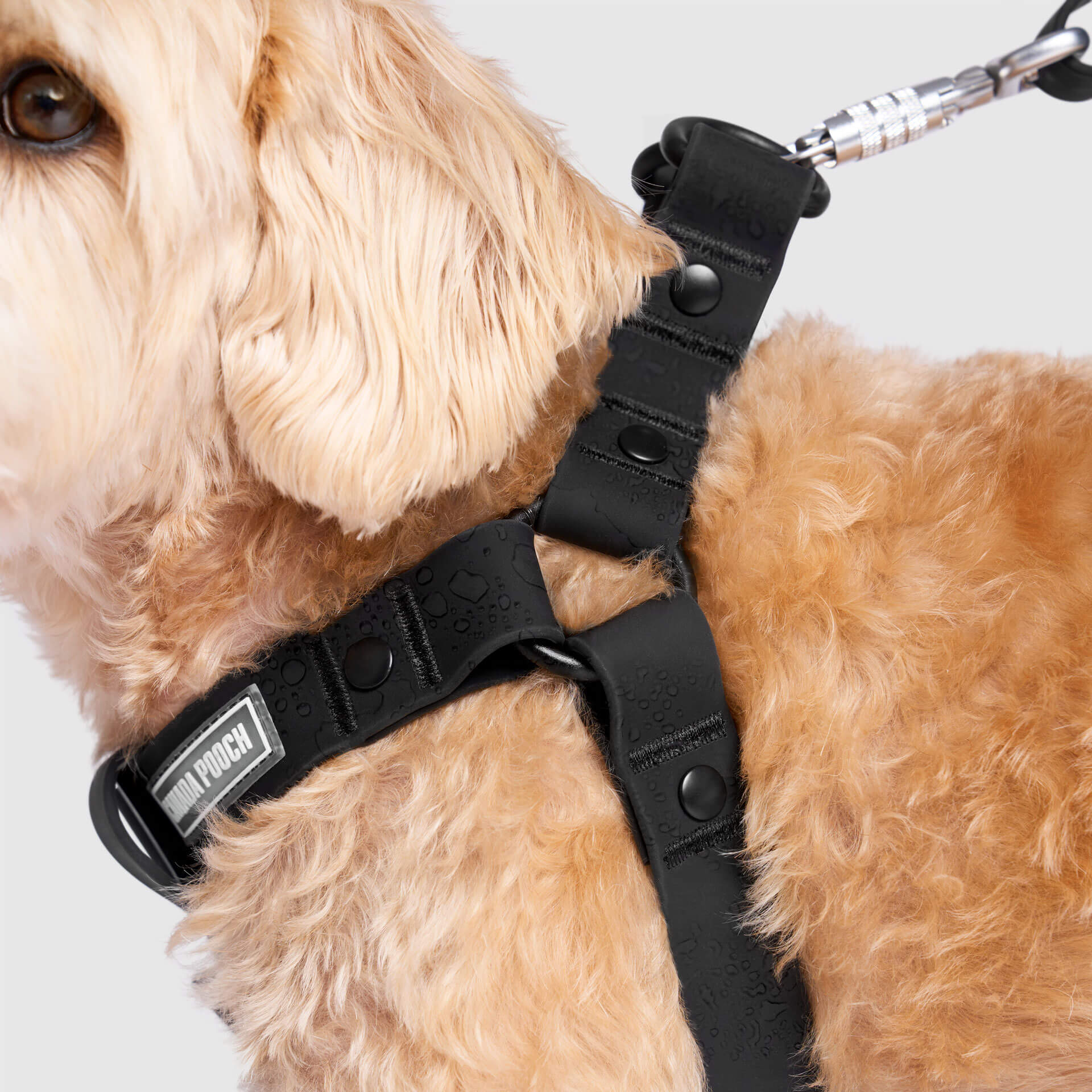 Waterproof Harness Q1