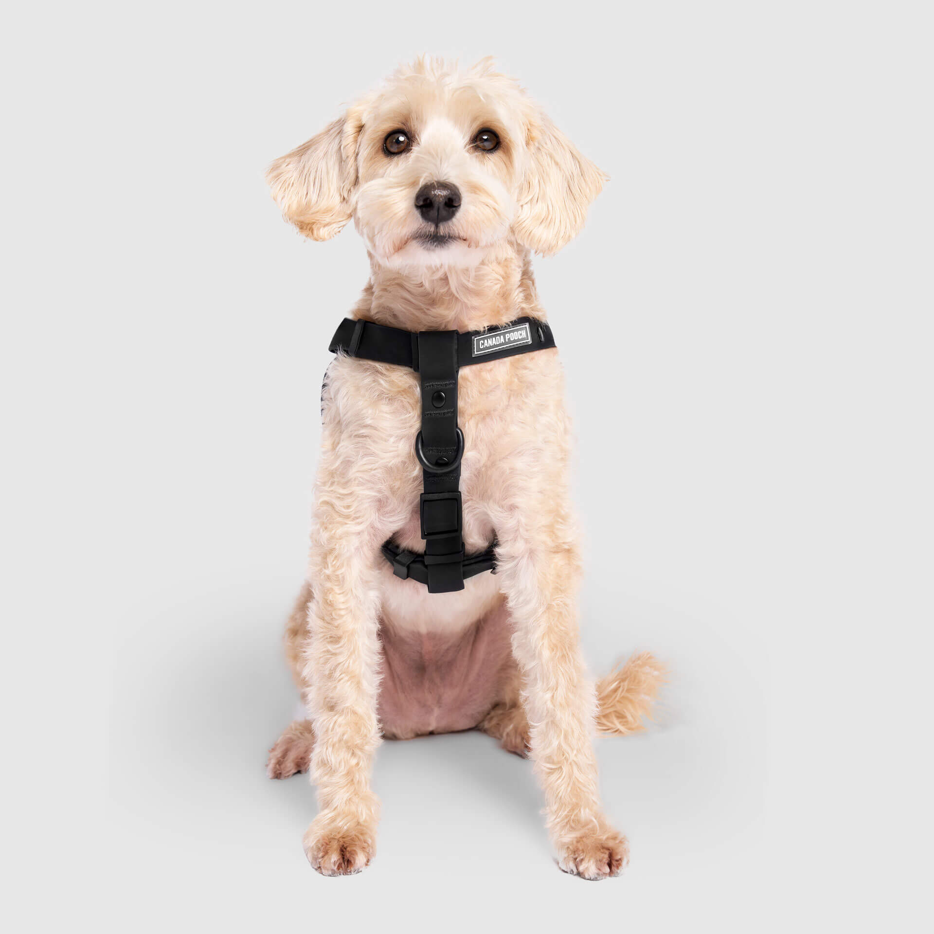 Waterproof Harness Q1