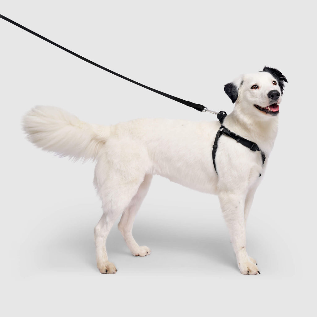 Waterproof Harness Q1