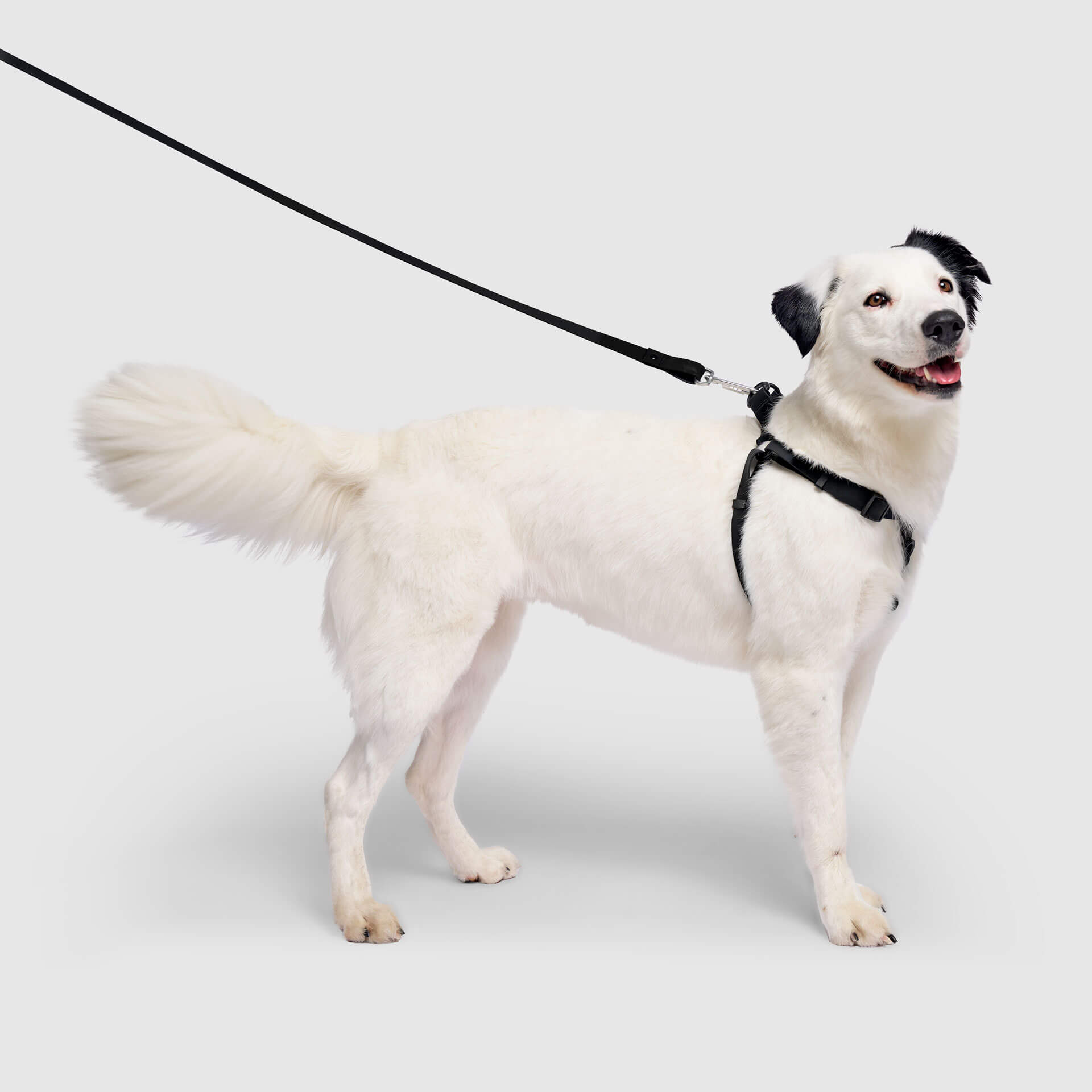 Waterproof Harness Q1