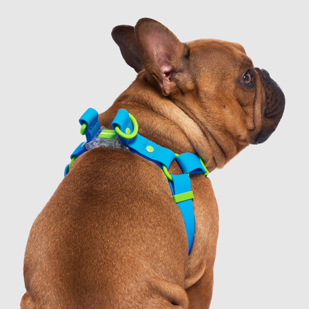 Waterproof Harness Q1