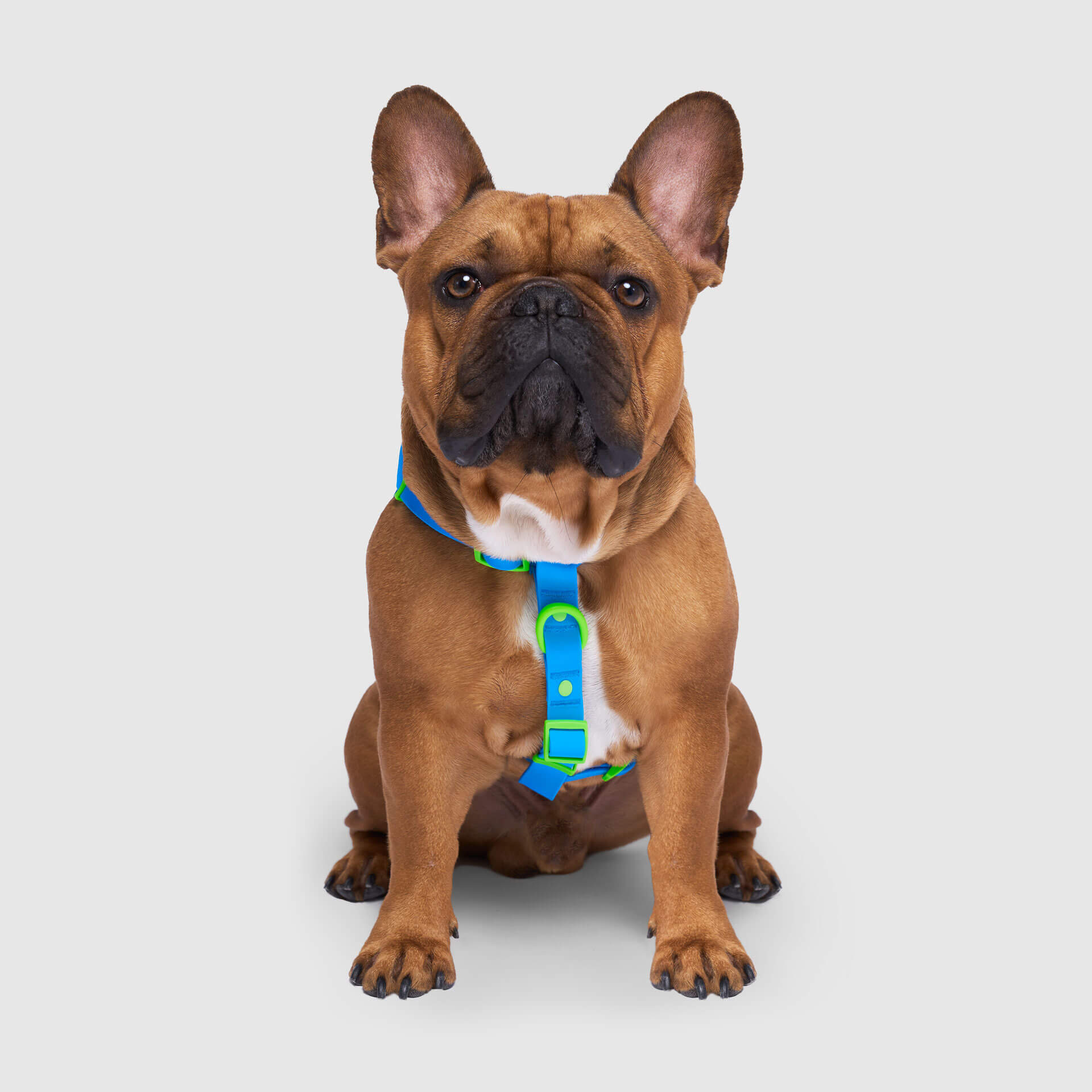 Waterproof Harness Q1