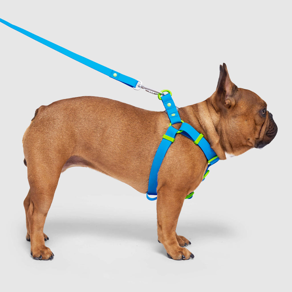 Waterproof Harness Q1