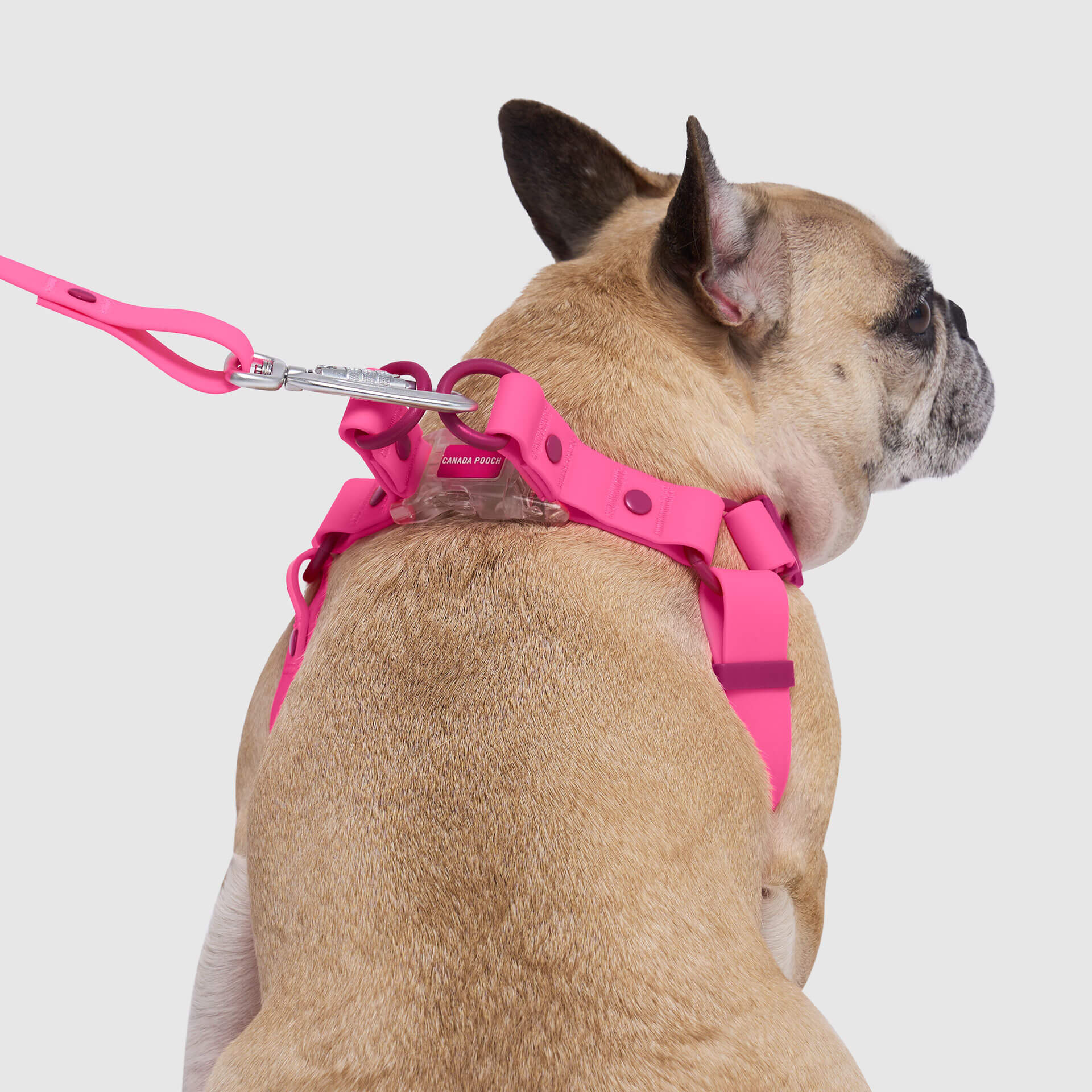 Waterproof Harness Q1