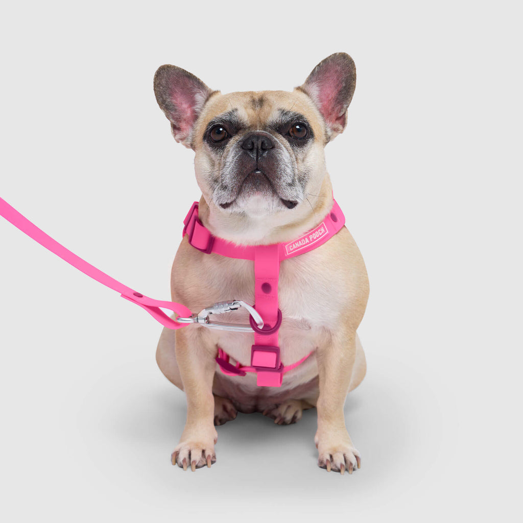 Waterproof Harness Q1