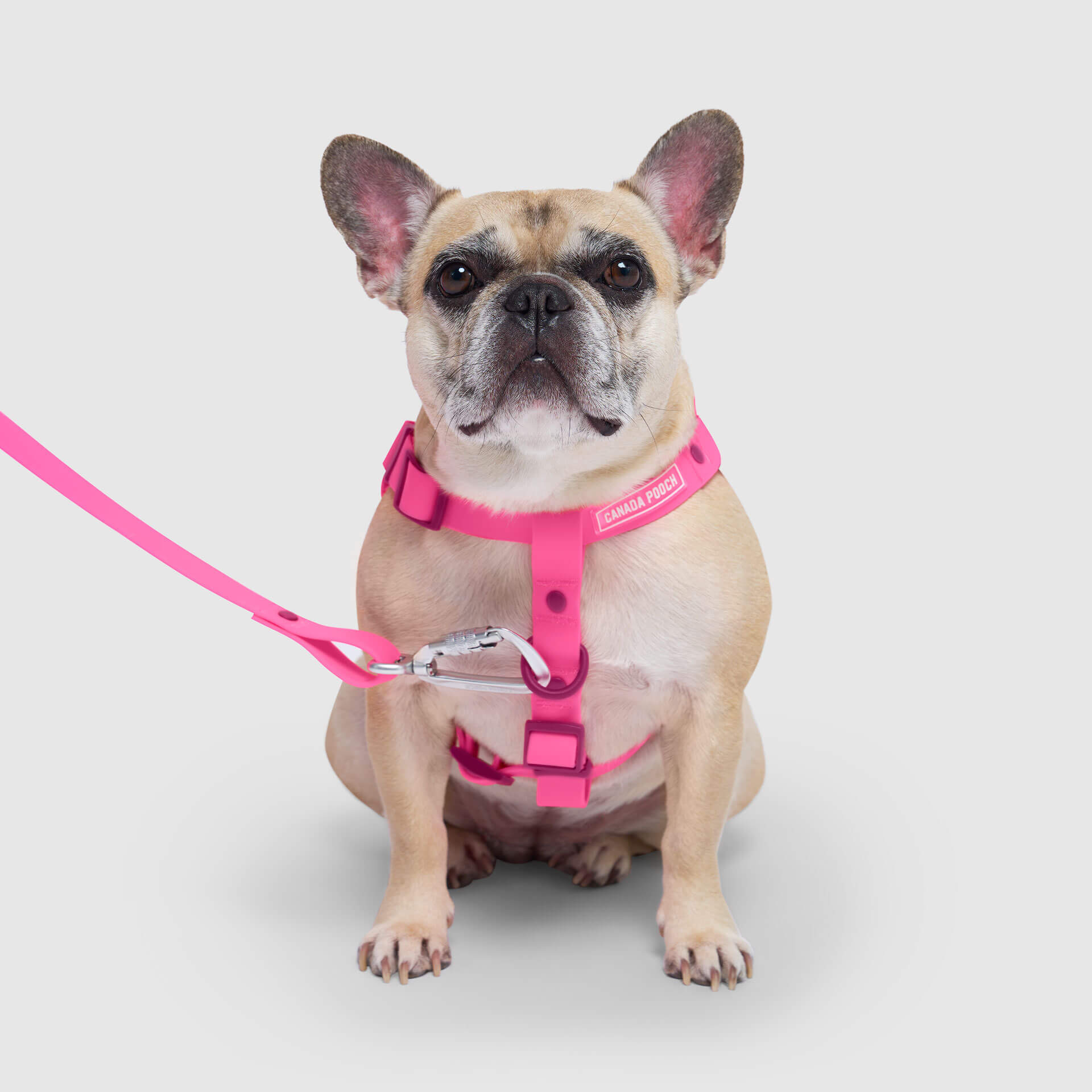 Waterproof Harness Q1