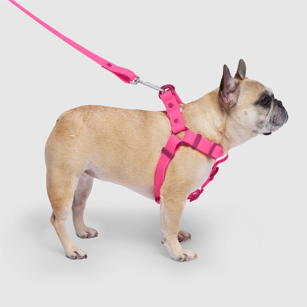 Waterproof Harness Q1