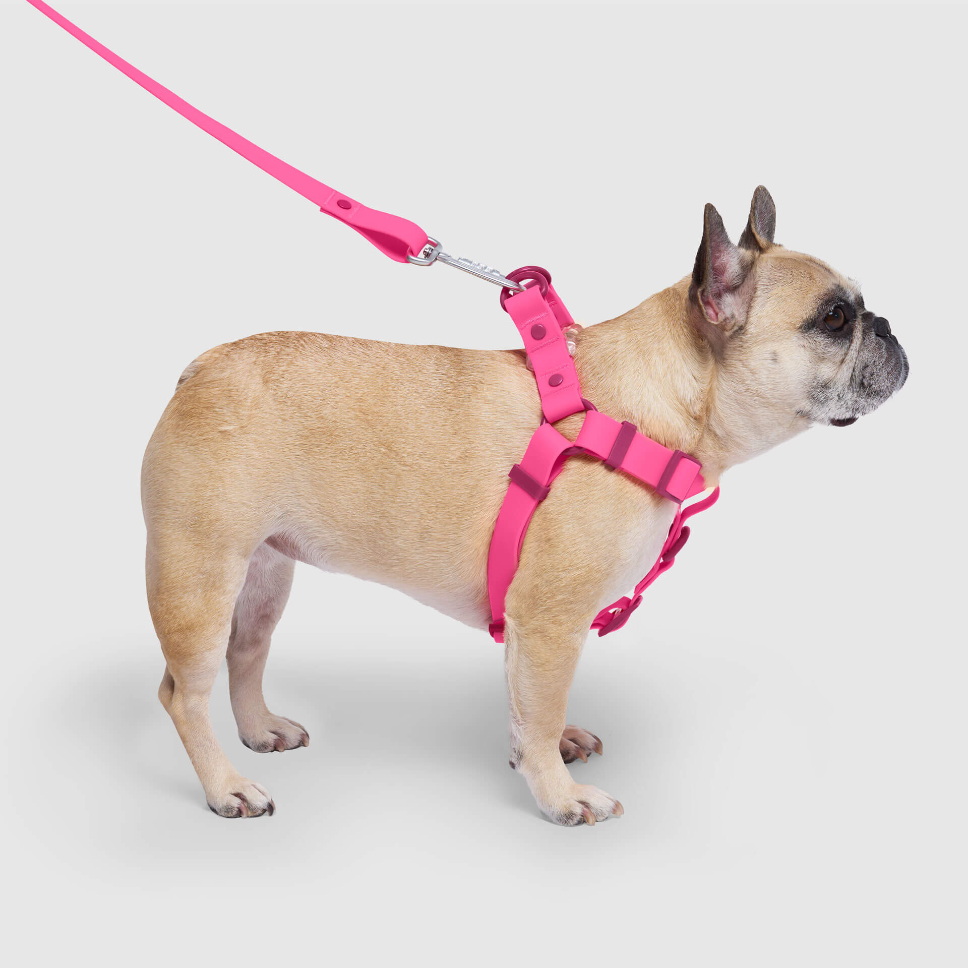 Waterproof Harness Q1
