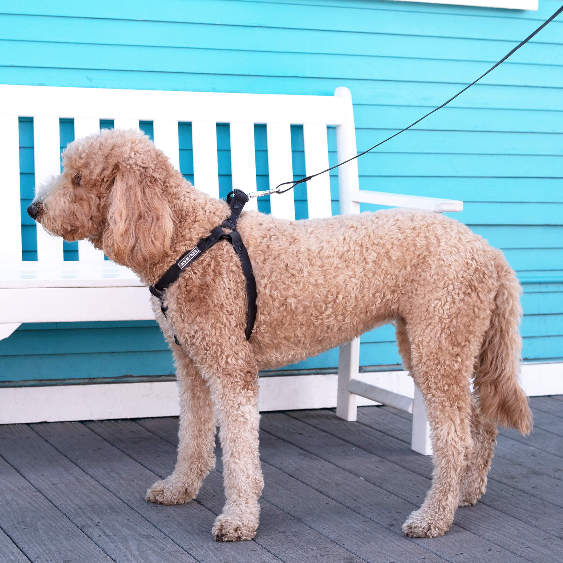 Waterproof Harness Q1