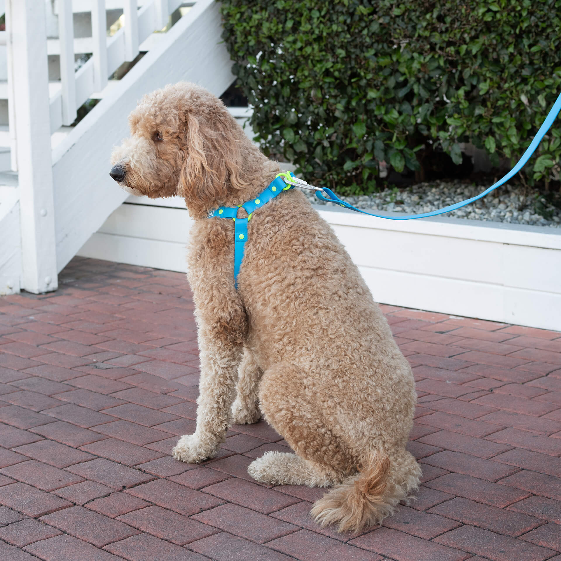 Waterproof Harness Q1