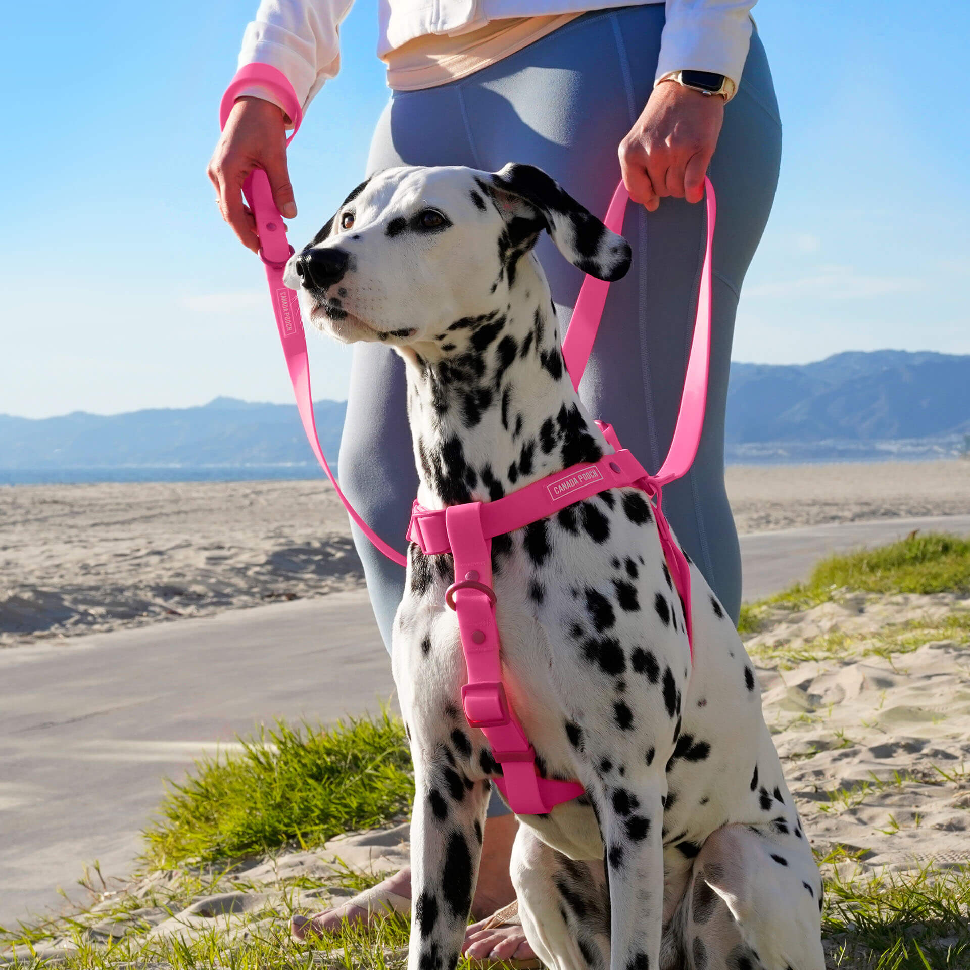 Waterproof Harness Q1