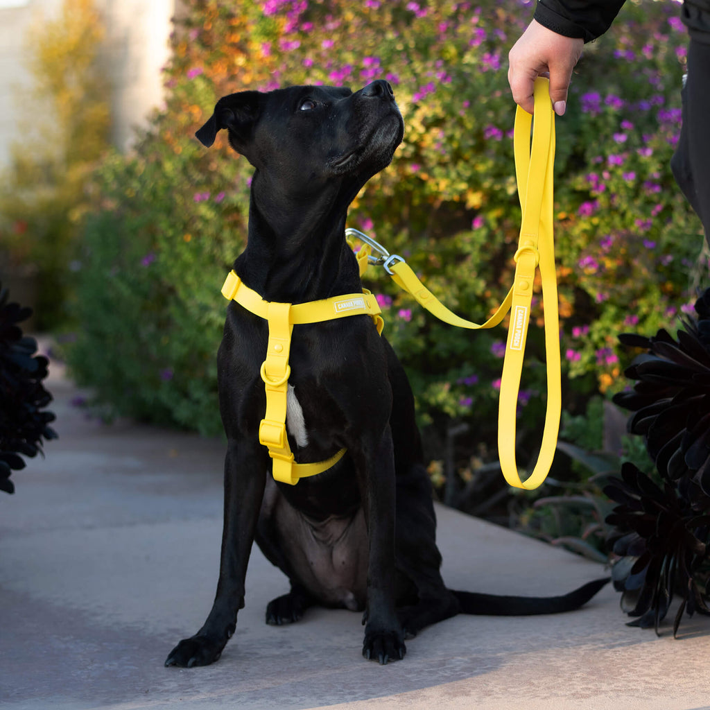 Waterproof Harness Q1