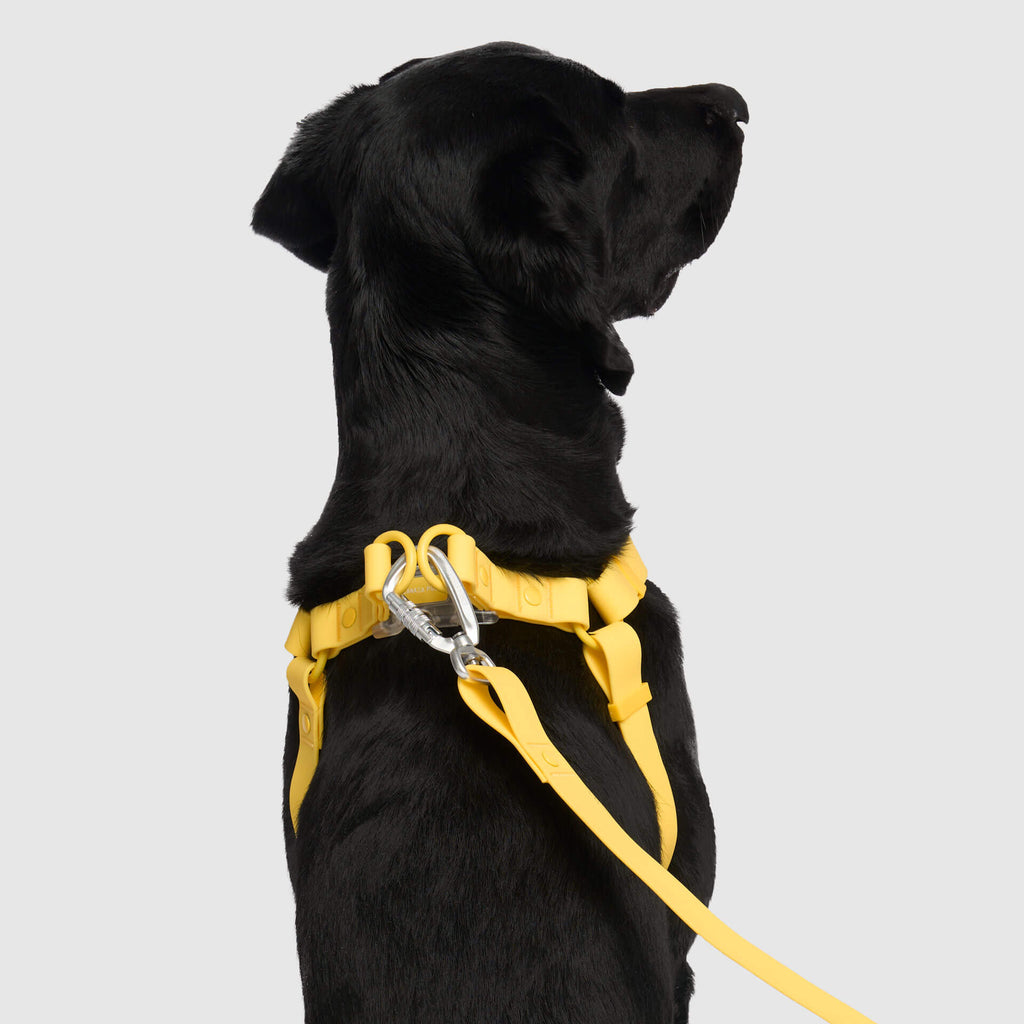 Waterproof Harness Q1