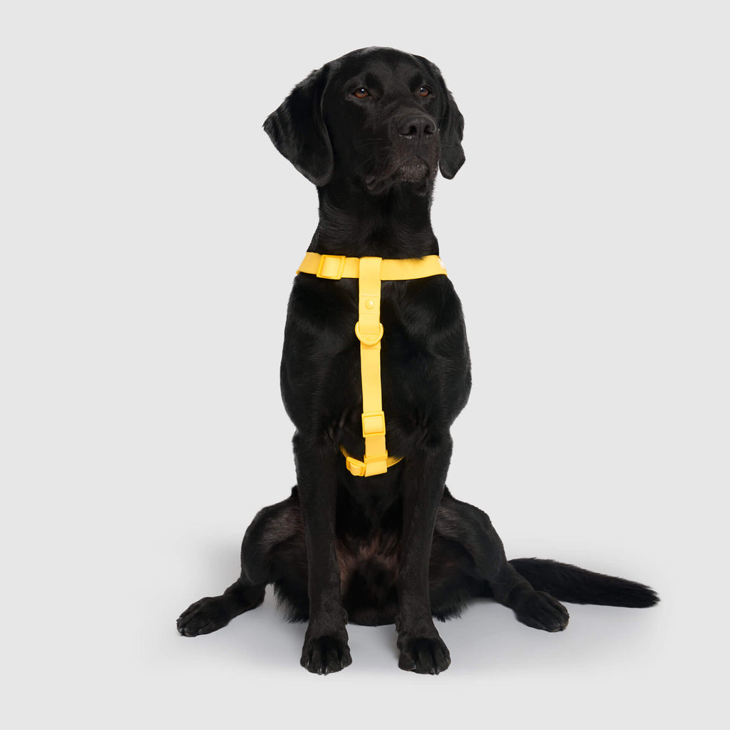 Waterproof Harness Q1