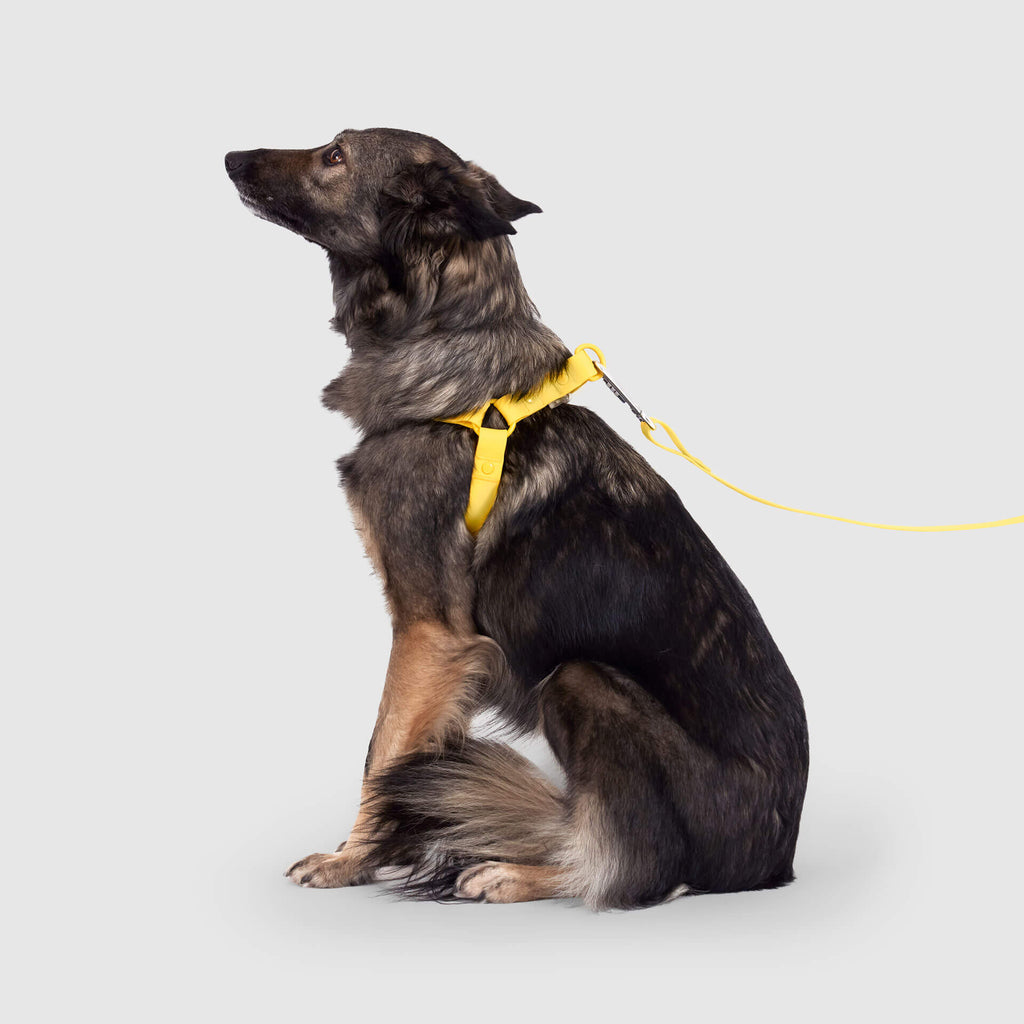 Waterproof Harness Q1