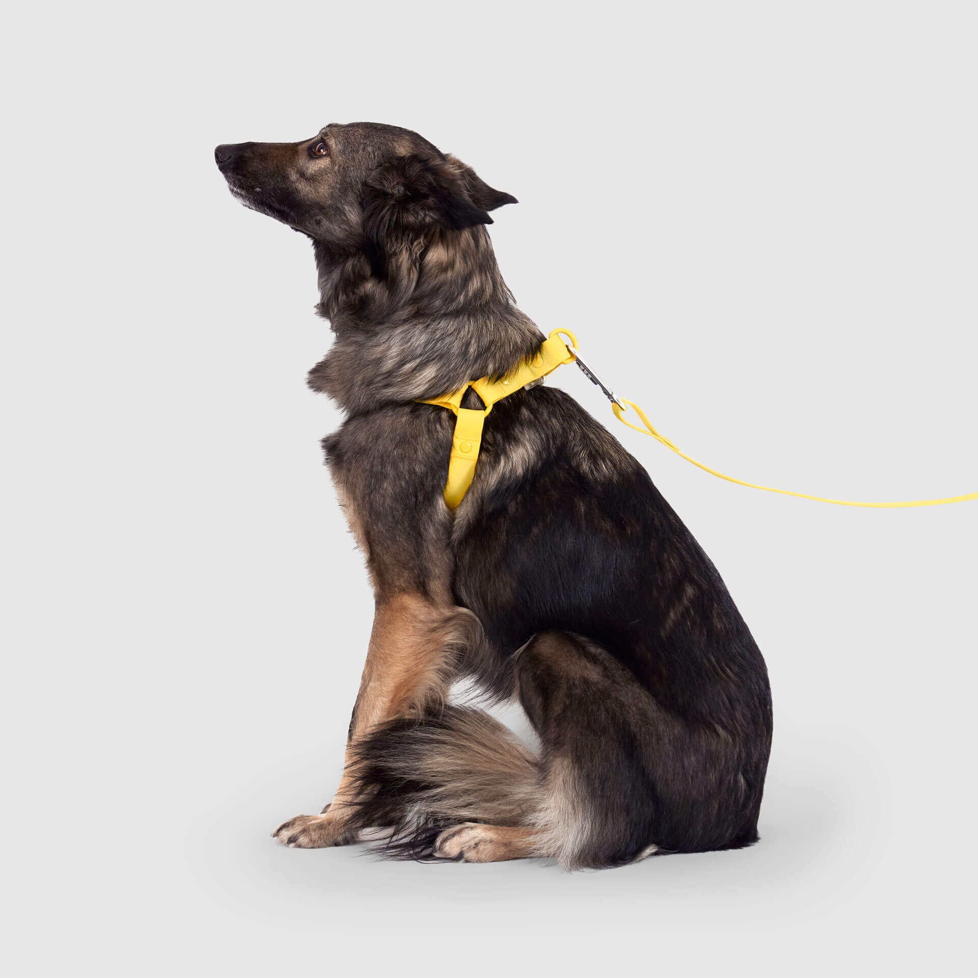 Waterproof Harness Q1