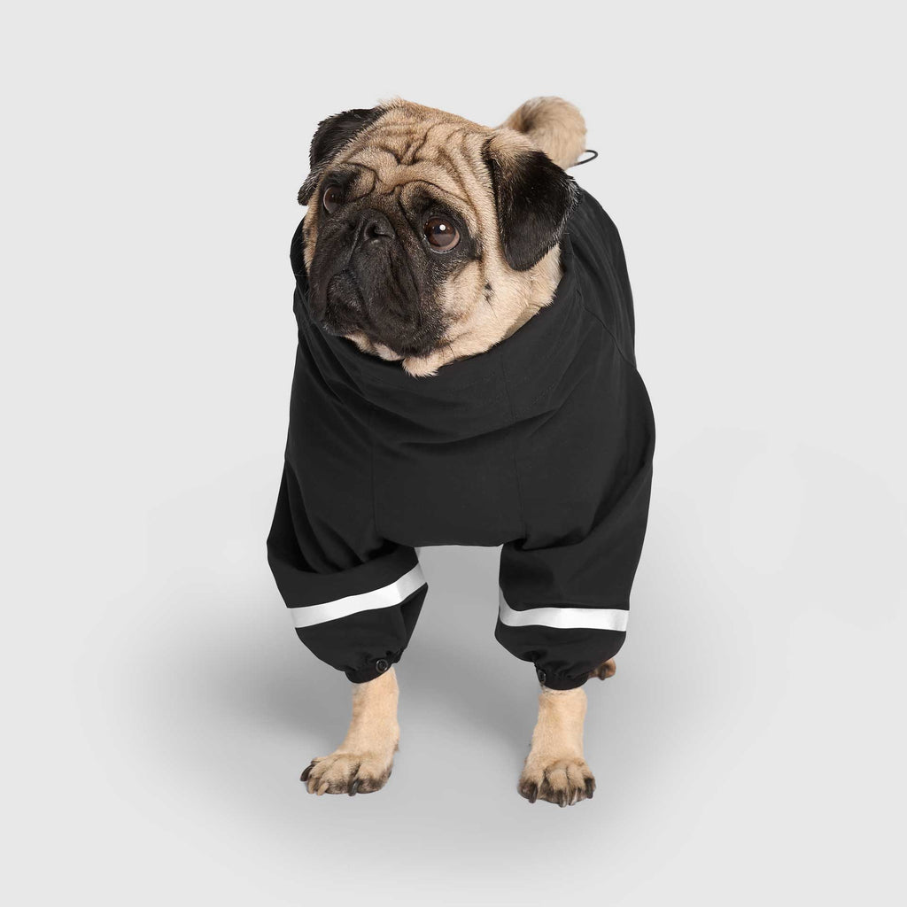 Waterproof Raincoat W6